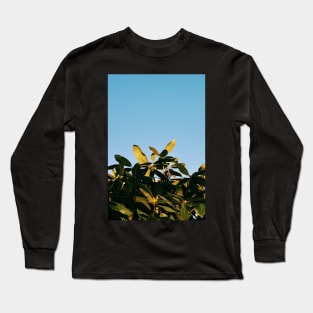 Mid-Winter Sunlight Long Sleeve T-Shirt